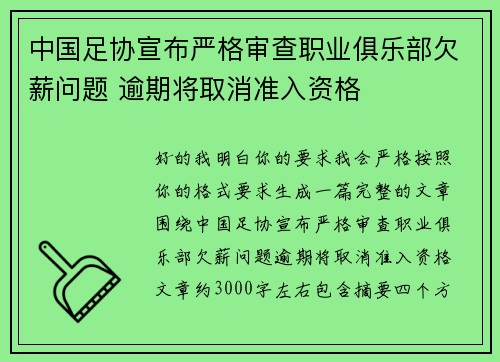 中国足协宣布严格审查职业俱乐部欠薪问题 逾期将取消准入资格 中国足协宣布严格审查职业俱乐部欠薪问题 逾期将取消准入资格